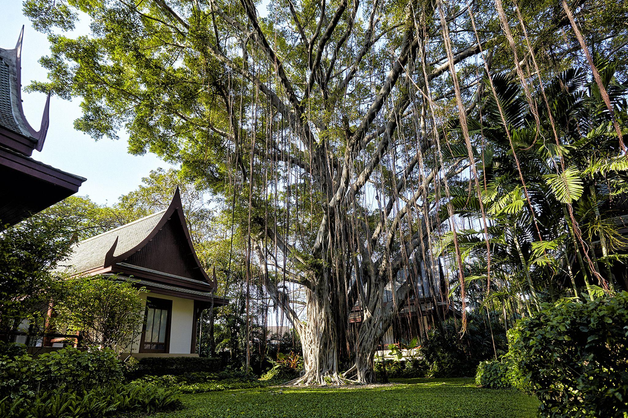 Chiva-Som International Health Resorts Hua Hin Ngoại thất bức ảnh